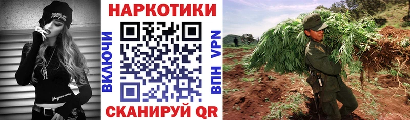 Наркота Володарск Кодеин  APVP  ГАШИШ  Бошки Шишки  Амфетамин 