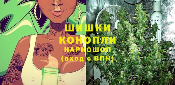 PSILOCYBIN Белоозёрский