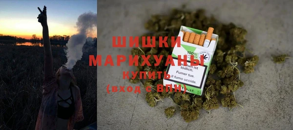 прущие грибы Белокуриха