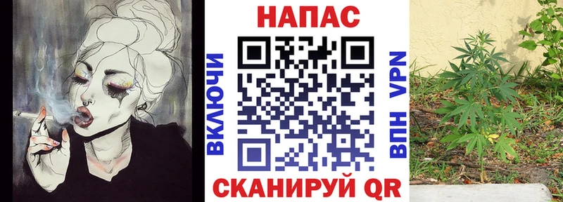 кракен ССЫЛКА  Володарск  Бошки марихуана сатива  закладки 